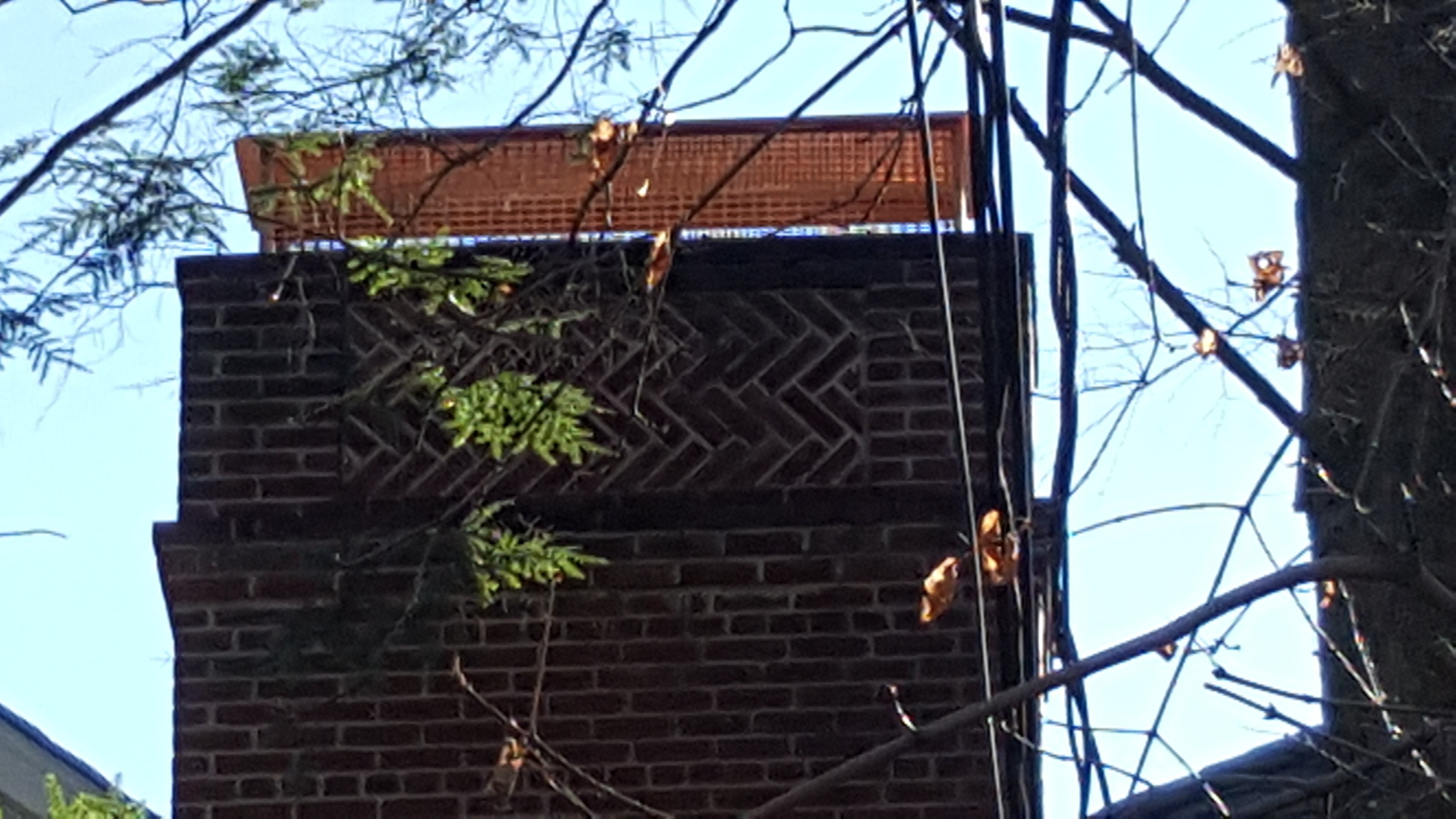 Animal-proof chimney cap protecting home in Dix Hills, New York